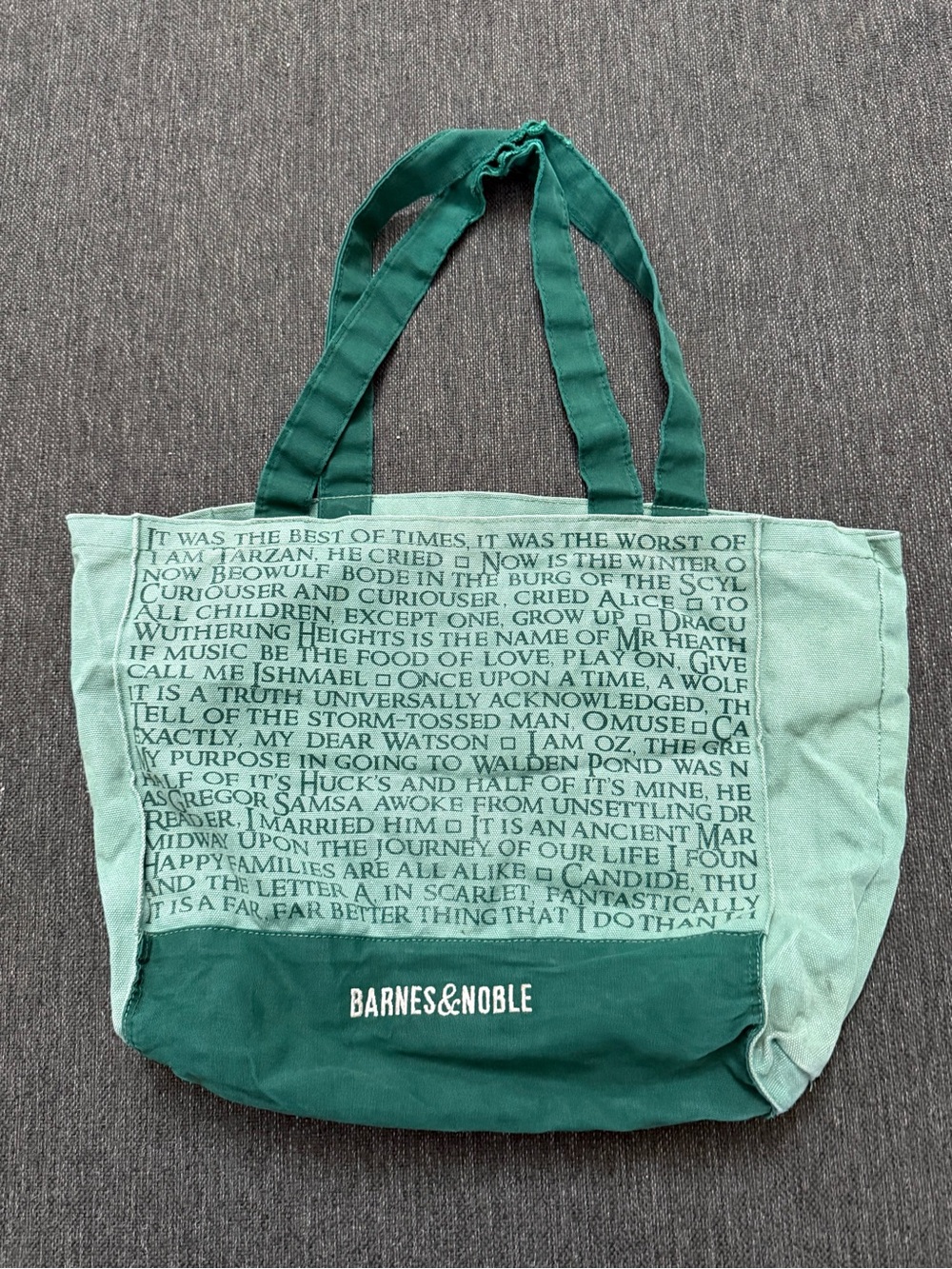 Barnes & Noble Two-Tone Green Canvas Tote retro embroidered classic